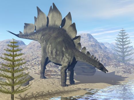 Stegosaurus dinosaur looking for water in the desert by day - 3D render