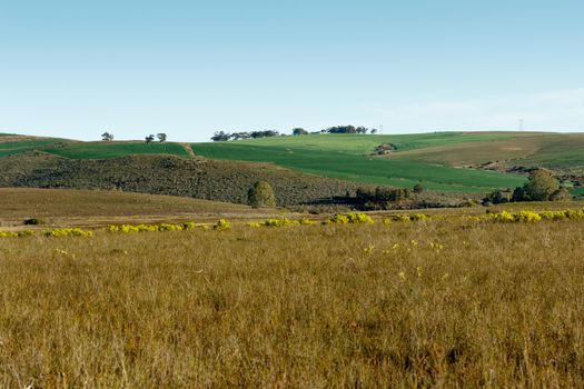 Green Grass Landscape - South Africa's geography. South Africa occupies the southern tip of Africa, its long coastline stretching more than 2 500km from the desert border with Namibia on the Atlantic coast, southwards around the tip of Africa, then north to the border with subtropical Mozambique on the Indian Ocean.