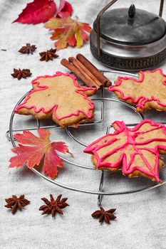 Cookies in the shape of maple autumn leaf in the autumn still life