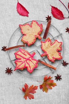 Cookies in the shape of maple autumn leaf in the autumn still life