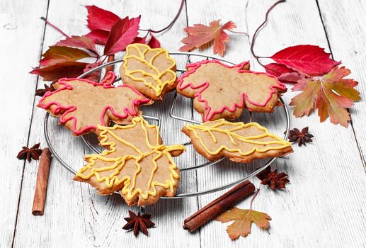 Cookies in the shape of maple autumn leaf in the autumn still life