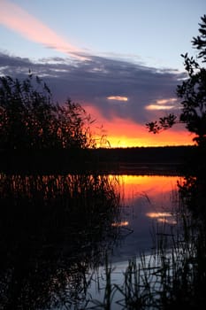 Summer landscape. Nice lake in forest with sedge at sunset