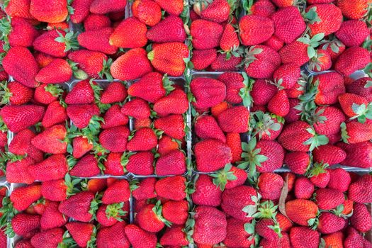 Boxes filled with red strawberries on fruit market