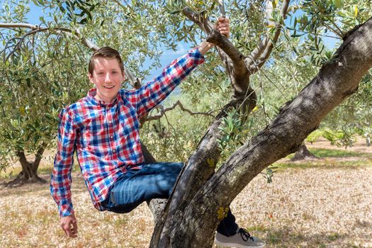 European teenage boy sitting and hanging in olive tree