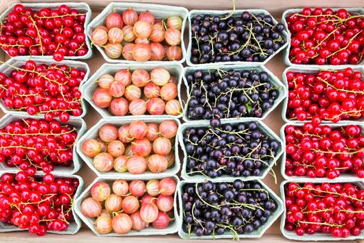 Fruit trays with blackberries currants and gooseberries on market