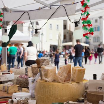 Sunday cheese market. Large selection of cheeses.