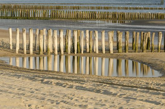 Rows of weathered wooden groynes on the beach of Zoutelande in Netherlands

