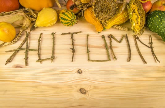 The word autumn written out of tree twigs on a wooden background, with the results of the harvest like, pumpkins, corn, wheat and sunflower.