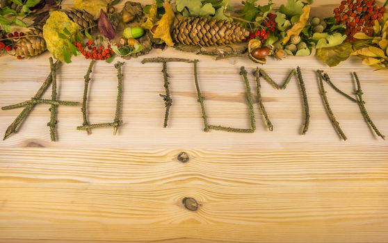 The autumn word written out of tree twigs on a wooden table, with forest fruits in the background, like cones, nuts and acorns.