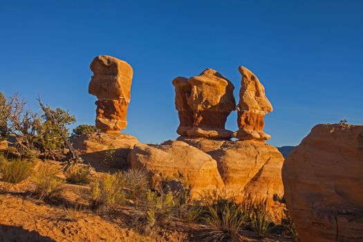 The Devil's Garden, Near Escalante, Utah