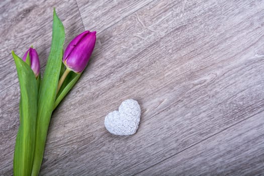 Violet tulip and white heart on a wooden background