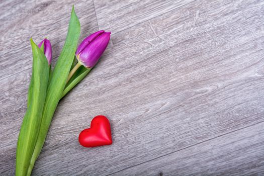Violet tulip and red heart on a wooden background