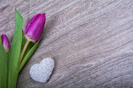 Violet tulip and white heart on a wooden background