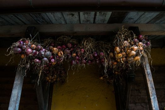 Various gardening hanging onions