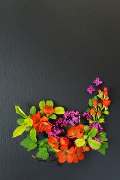 Japanese quince Chaenomeles and Lilac branches with flowers covered with water drops  lie on a background of black slate; flat lay, overhead view