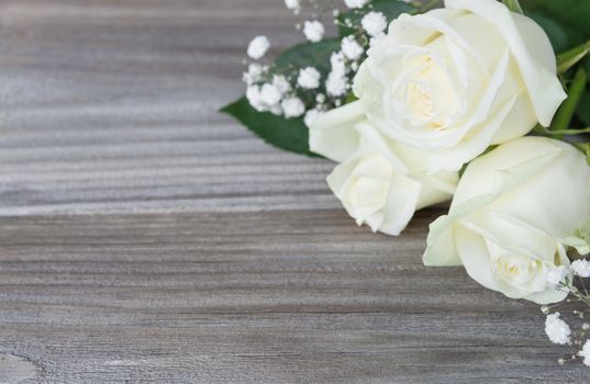 Bouquet of white rose flowers lay on the gray background of old wooden boards, with space for text
