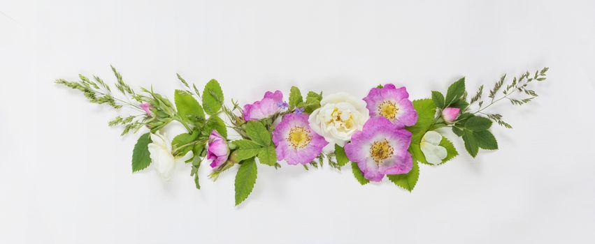 Horizontal decorative composition in retro style consisting of pink and white wild rose flowers with green leaves on white background. Top view, flat lay