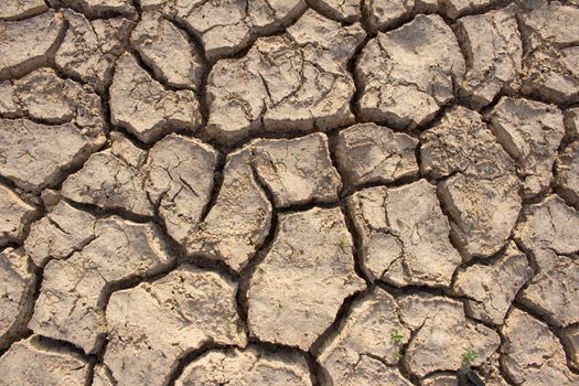 Dry cracked earth background, clay desert texture