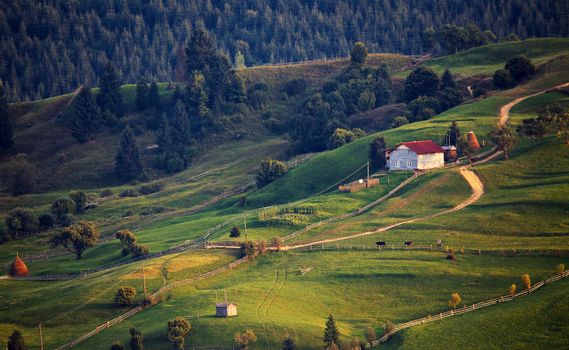 September rural scene in Carpathian mountains. Authentic village and fence