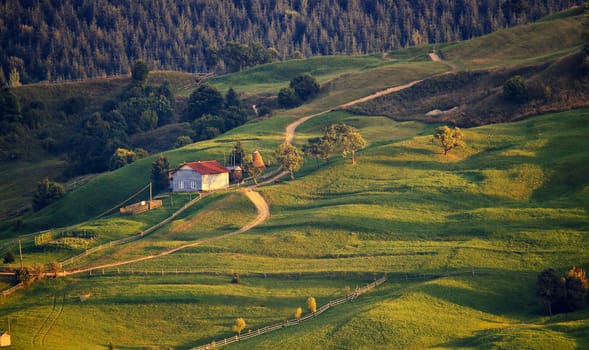 September rural scene in Carpathian mountains. Authentic village and fence