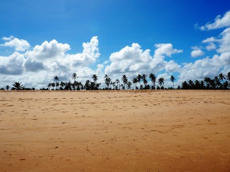 The beach with palm trees in the distance against a background of blue sky and clouds. Photo was taken in a village Imbassai, 70 km from Salwador City in the state of Bahia. Imbassai lies on the coconut coast and is known as a place where river meets Atlantic Ocean.