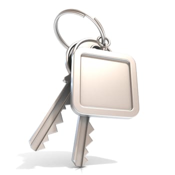 Two door keys and square blank label on ring. 3D illustration, isolated on white background