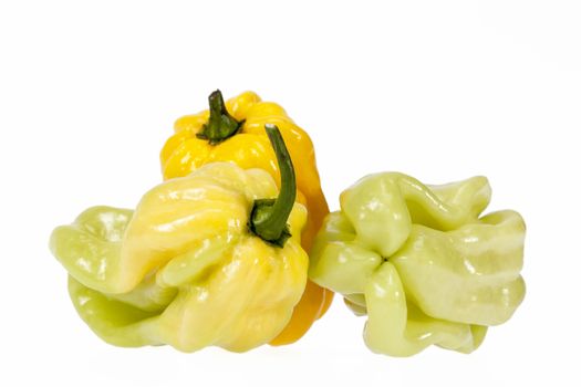 Vegetable of small yellow and green chili pepper habanero isolated on white background