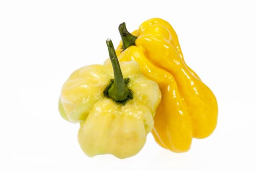 Vegetable of small yellow chili pepper habanero isolated on white background.