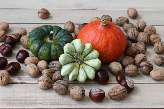 Still life with products of autumn - pumpkins, gourds, nuts, chestnuts