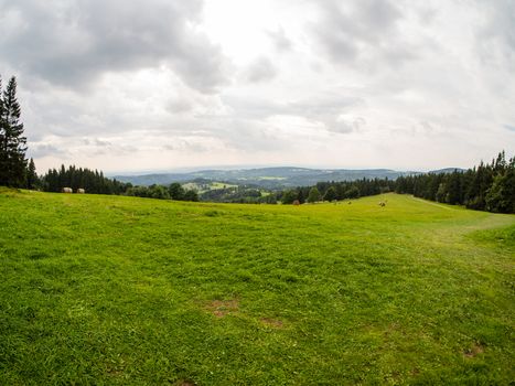 Fresh green grass and white cloudy sky, natural panorama with mountains on horizon and framed by trees, copyspace