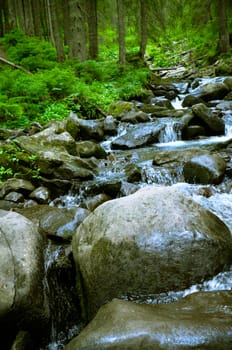 Mountain valley with river in the summer time. Beautiful summer landscape