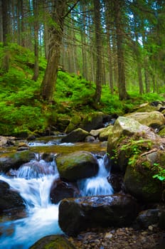 Mountain valley with river in the summer time. Beautiful summer landscape