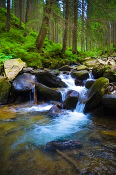 Mountain valley with river in the summer time. Beautiful summer landscape