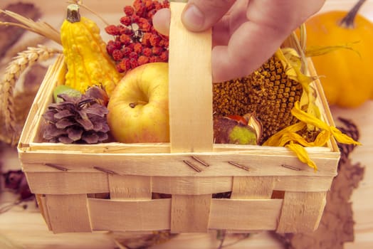 Farmer holding with its hand a small wooden basket full with agricultural products.