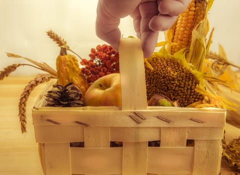 Man's hand holding a wooden basket full with autumnal products, agricultural and forest also.