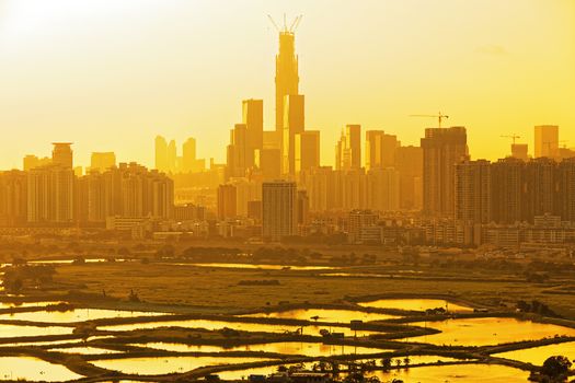 chinese city at sunset , Shen zhen