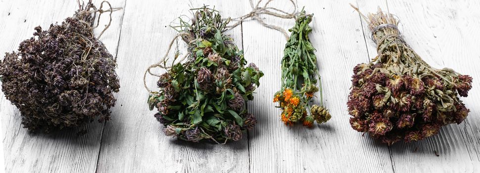 Dried healing plants on wooden background for recipes