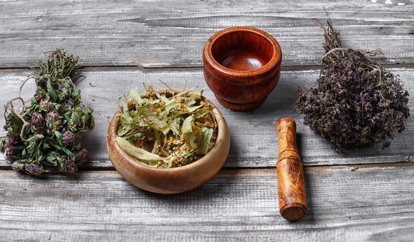 Dried healing plants on wooden background for recipes