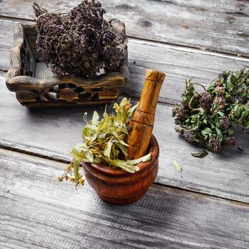 Dried healing plants on wooden background for recipes