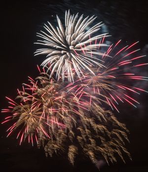 Brightly colorful fireworks and salute of various colors in the night sky background