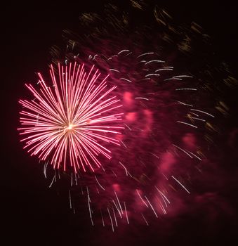 Brightly colorful fireworks and salute of various colors in the night sky background