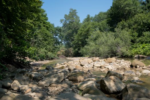 River deep in mountain forest. Nature composition. Mountain river flowing through the green forest

