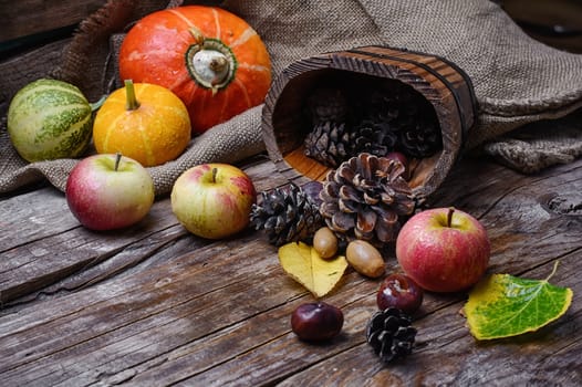 Autumn still life with apples,pumpkins and pine cones in rustic style