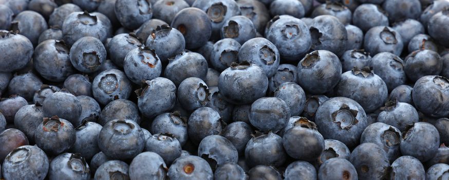 Fresh blueberry berries background pattern close up, low angle view