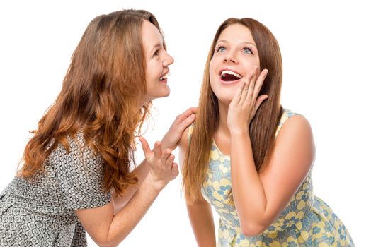 smiling beautiful girlfriends gossiping on a white background