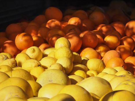 Lemons and oranges alongside each other on the market with the morning light