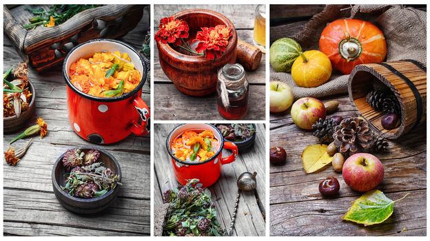 collage with autumn apples,pumpkins and tea medicinal herbs