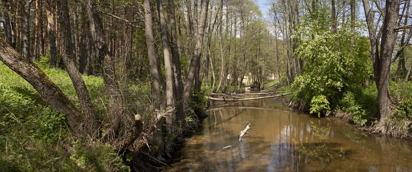 Panorama of forest river in the early spring.