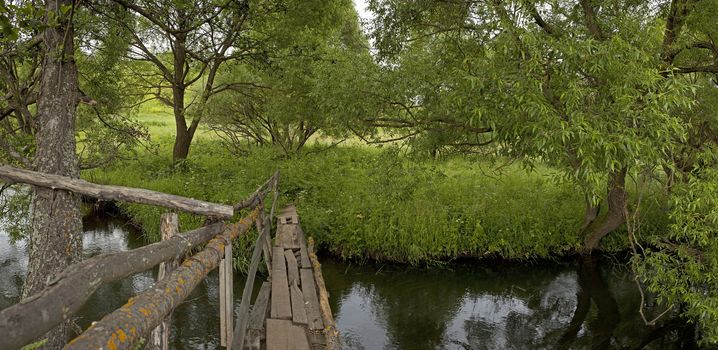 Panorama of forest river in the summer.