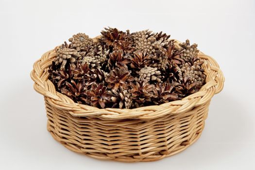 Many pine cones lying in the basket.